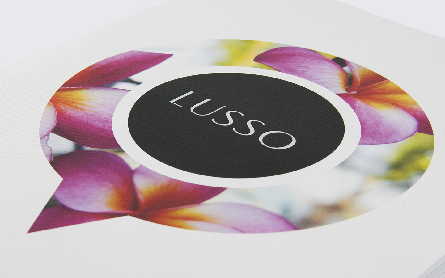 Lusso Brochures Header